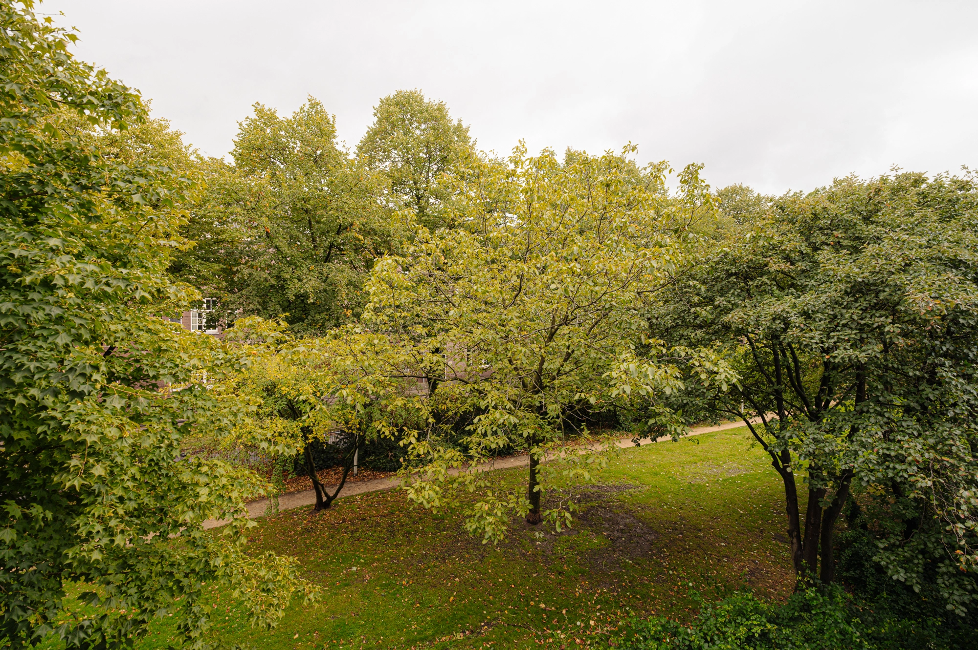 AM106636-2064417-Sarphatistraat-221B,-Amsterdam-246202224