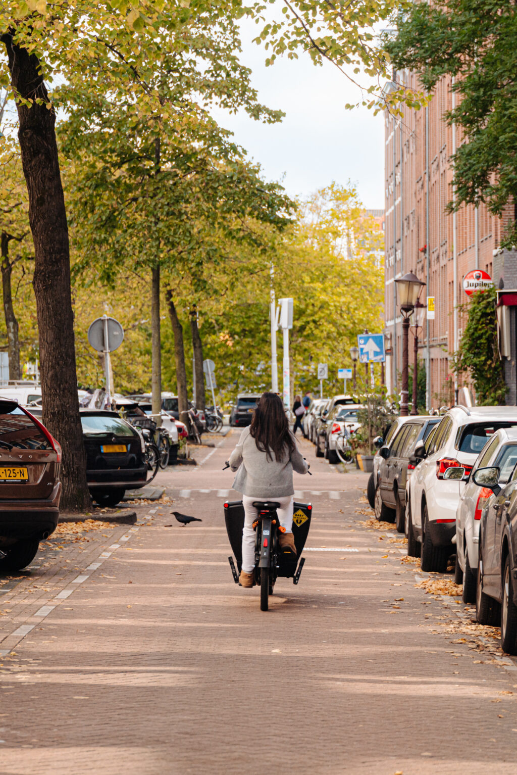 Potgieterstraat 45-3, Amsterdam - Afbeelding 4