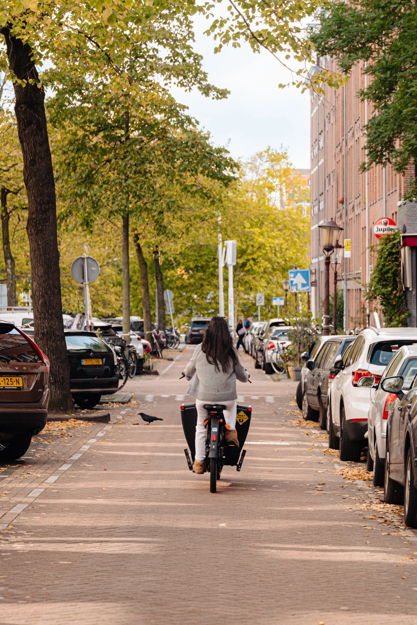 AM106637-2072037-Potgieterstraat-45-3,-Amsterdam-248030350