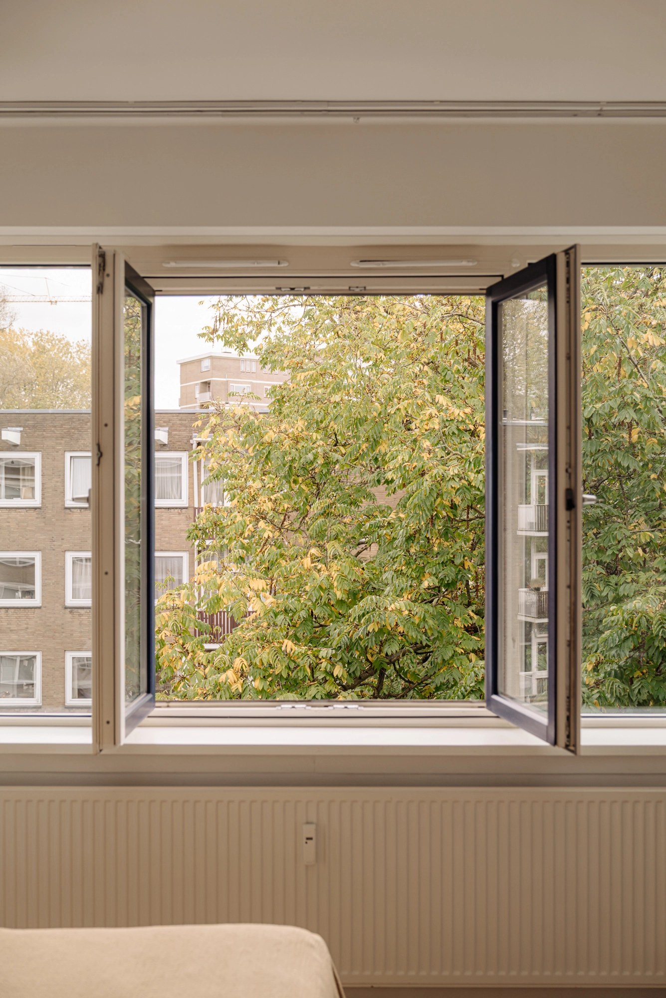 AM106650-2090219-Beethovenstraat-135-4,-Amsterdam-250809976