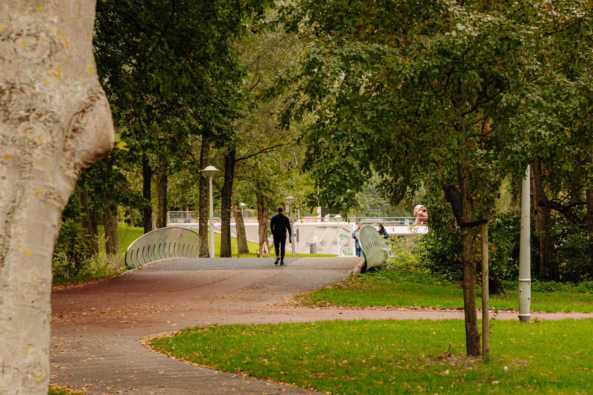 AM106708-2077163-Orteliuskade-26-1,-Amsterdam-248777762