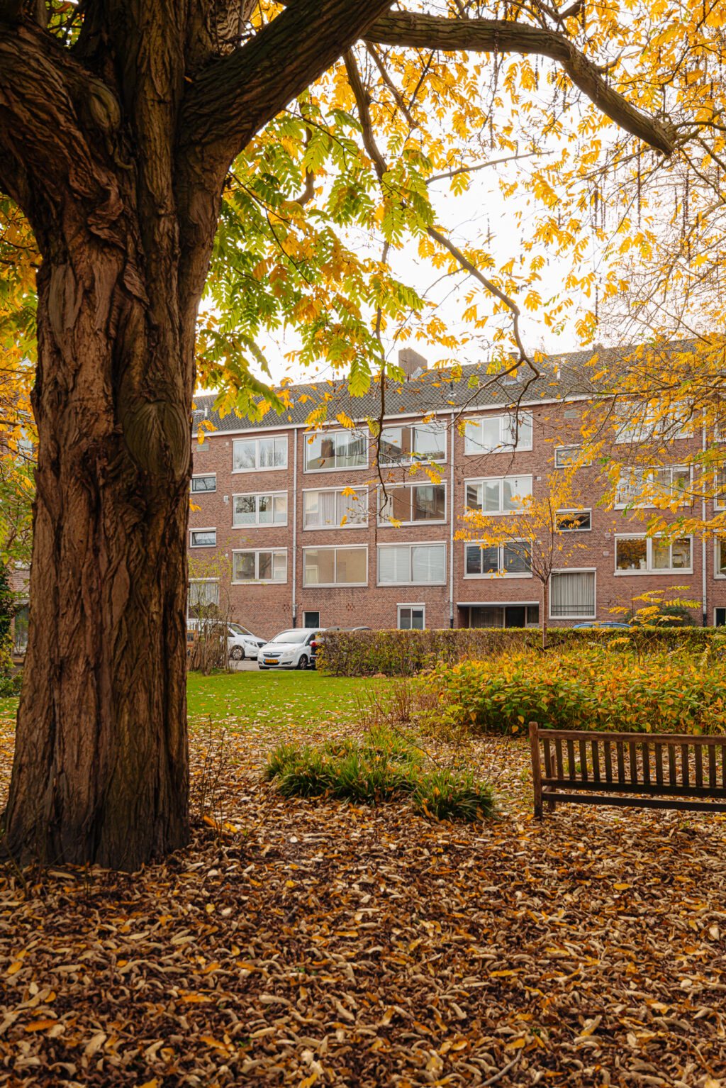 Rietnesse 3-2, Amsterdam - Afbeelding 6