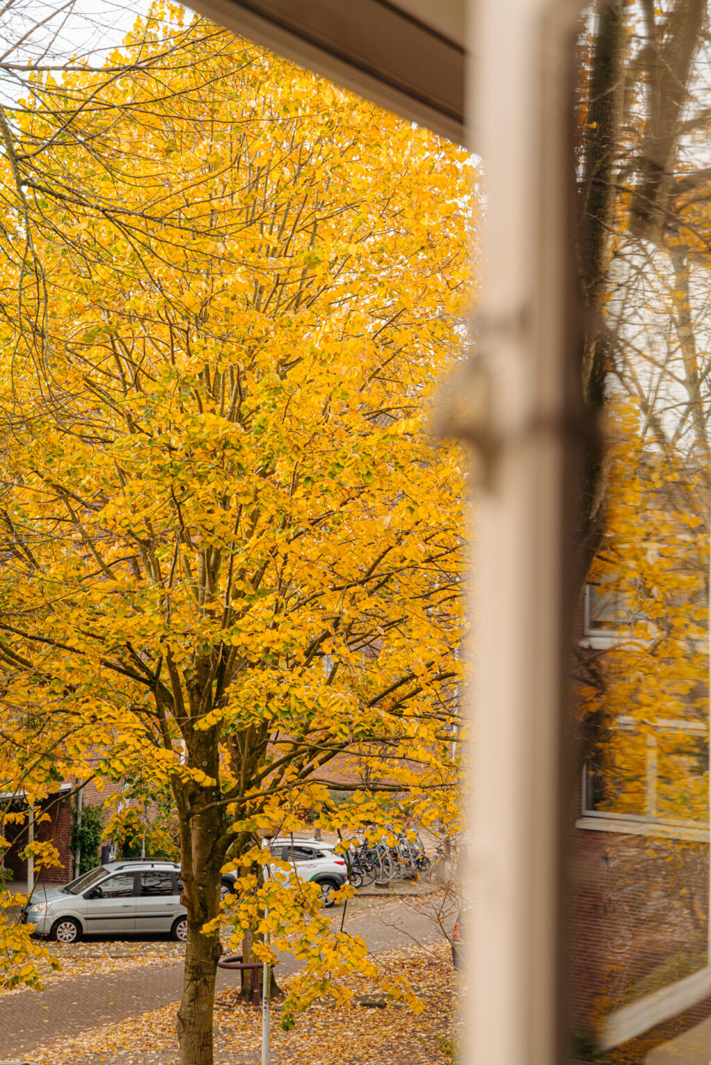 Rietnesse 3-2, Amsterdam - Afbeelding 19