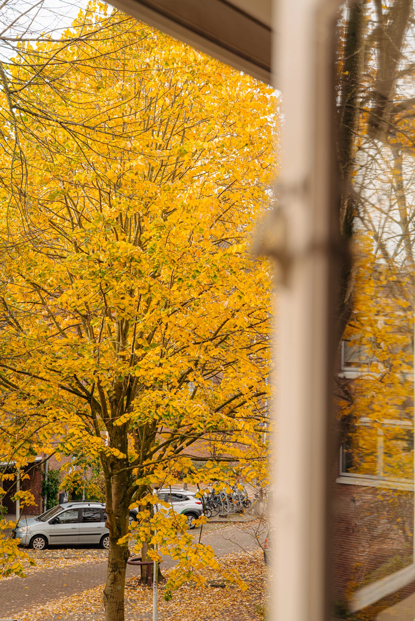 AM106741-2108991-Rietnesse-3-2,-Amsterdam-253537960