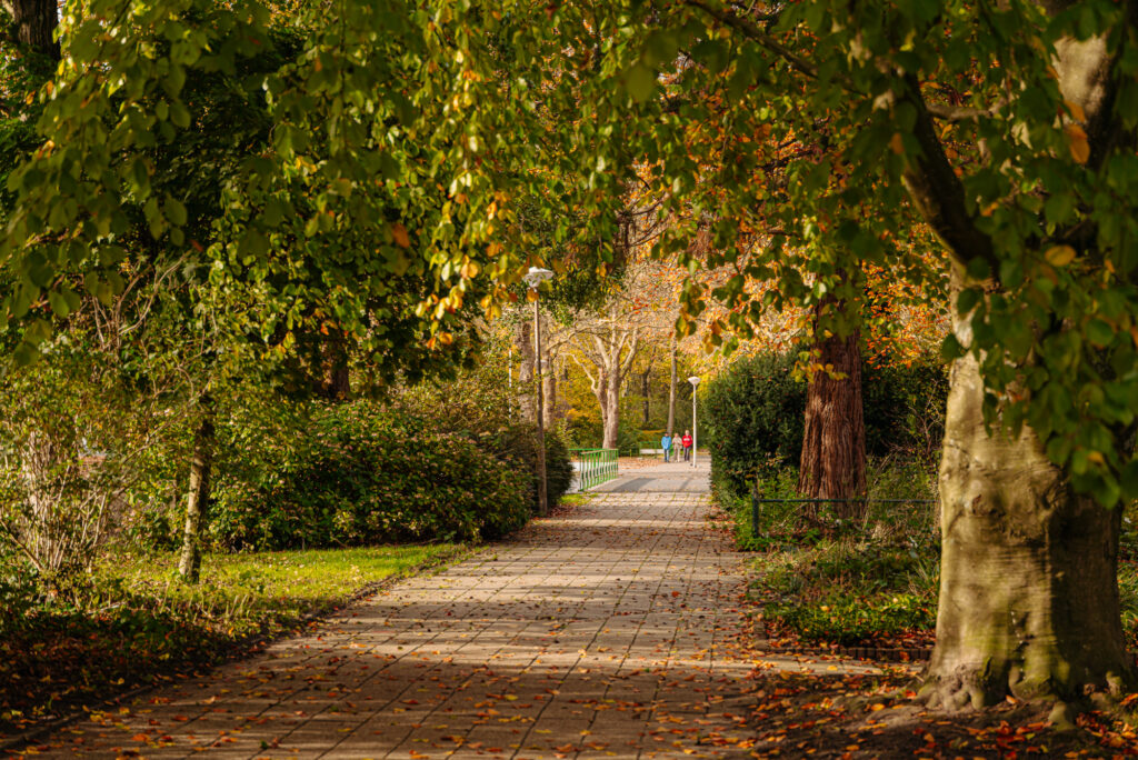 Rietnesse 3-2, Amsterdam - Afbeelding 32