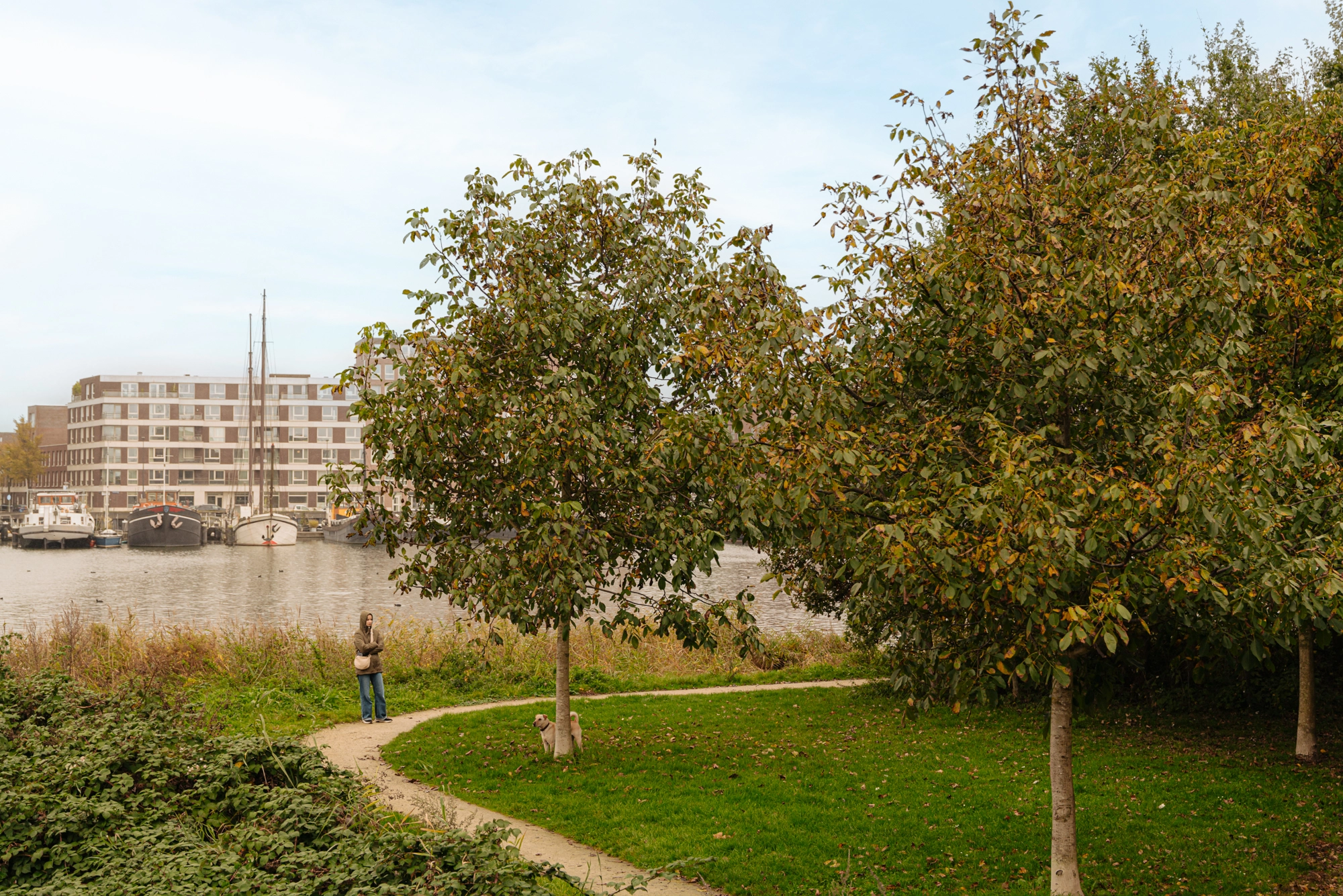 AM106753-2097423-Smalschipstraat-33,-Amsterdam-251381150