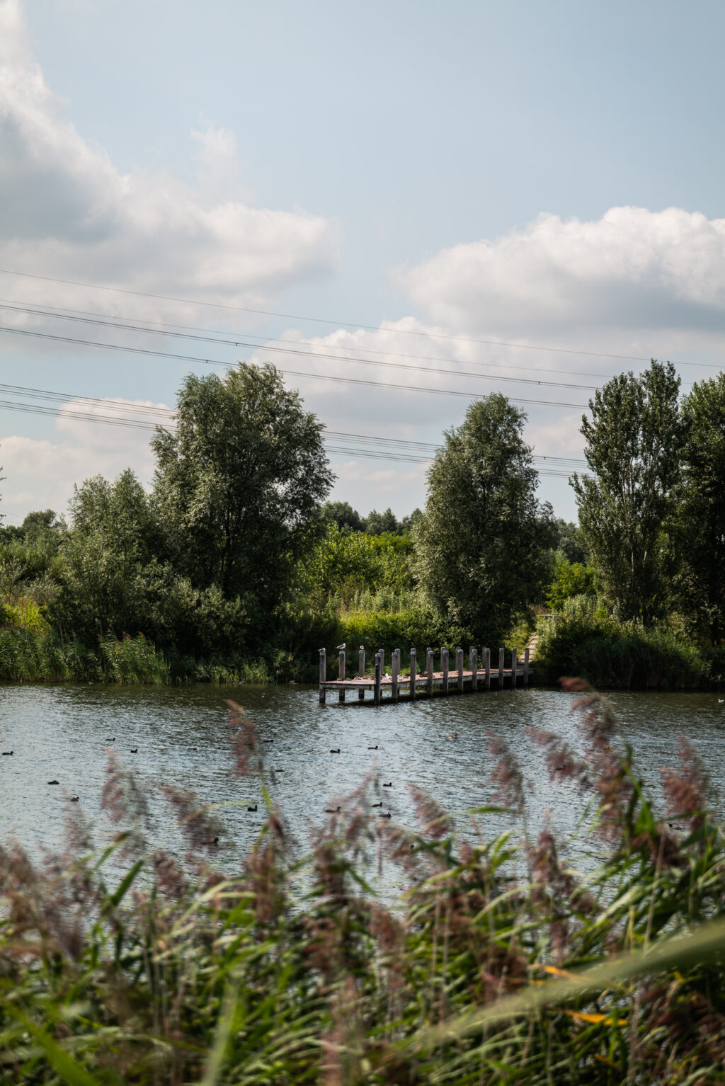 Smalschipstraat 33, Amsterdam - Afbeelding 52