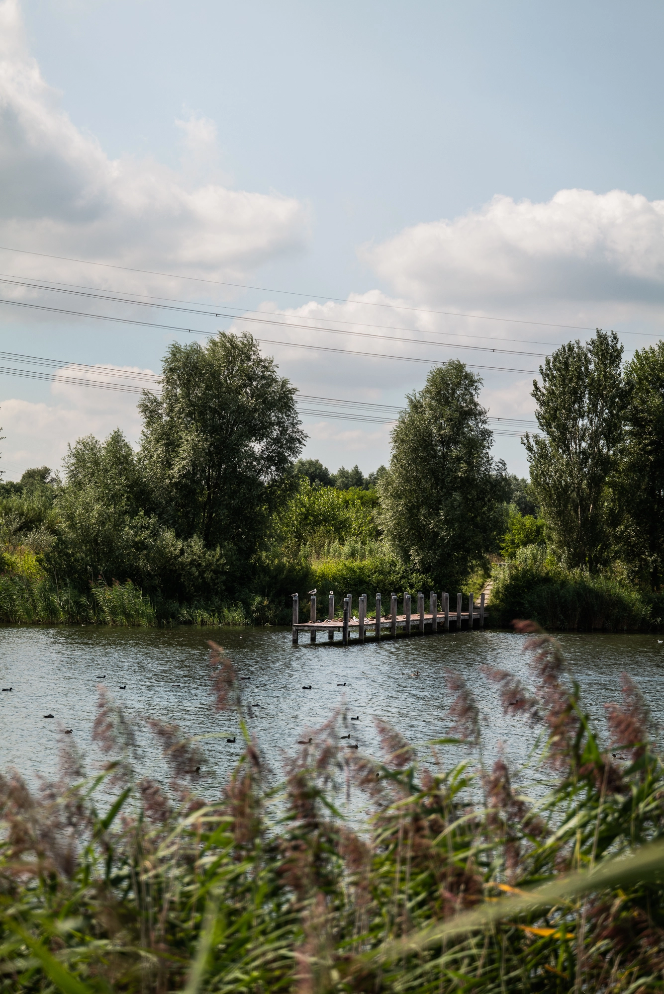 AM106753-2097423-Smalschipstraat-33,-Amsterdam-251606880