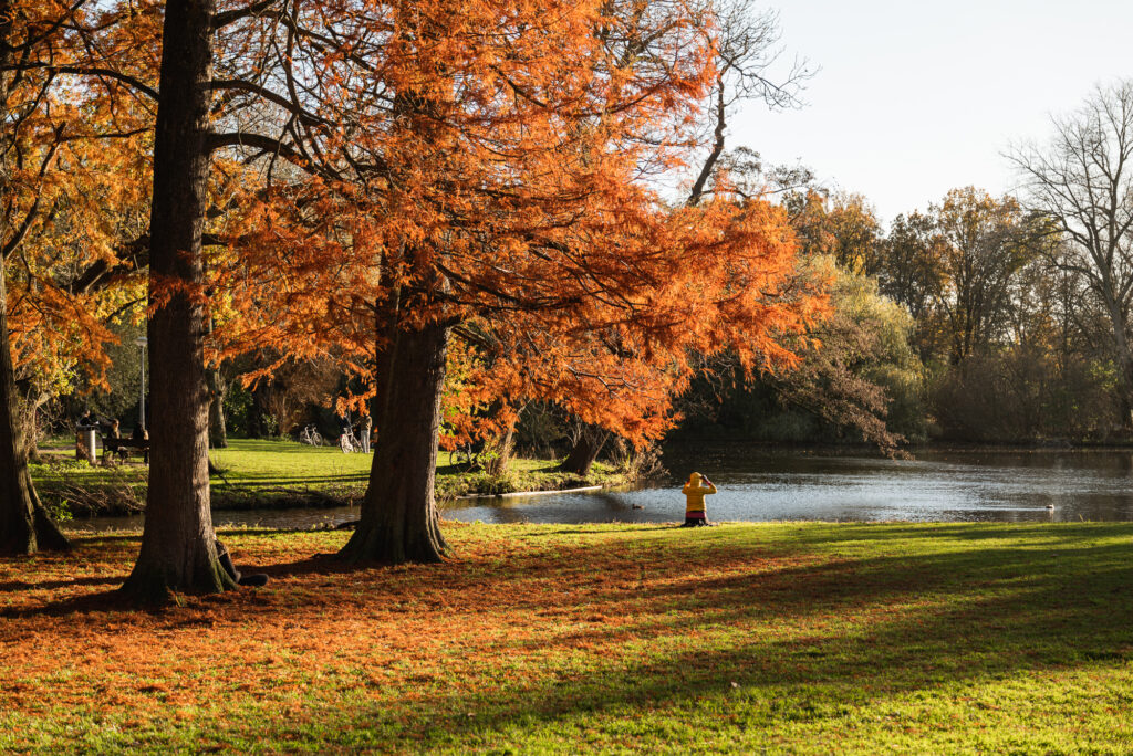 Johannes Vermeerstraat 20, Amsterdam - Afbeelding 66
