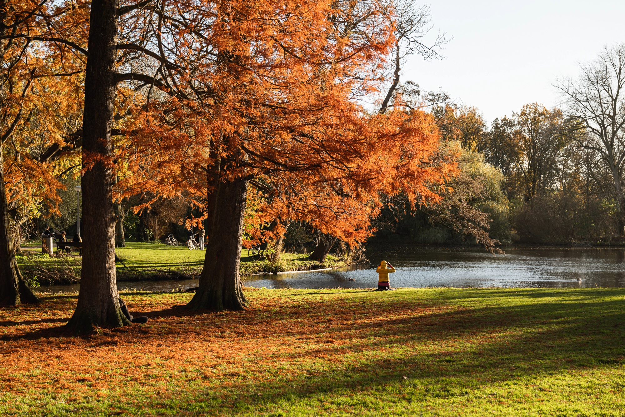 AM106766-2100185-Johannes-Vermeerstraat-20,-Amsterdam-251821486