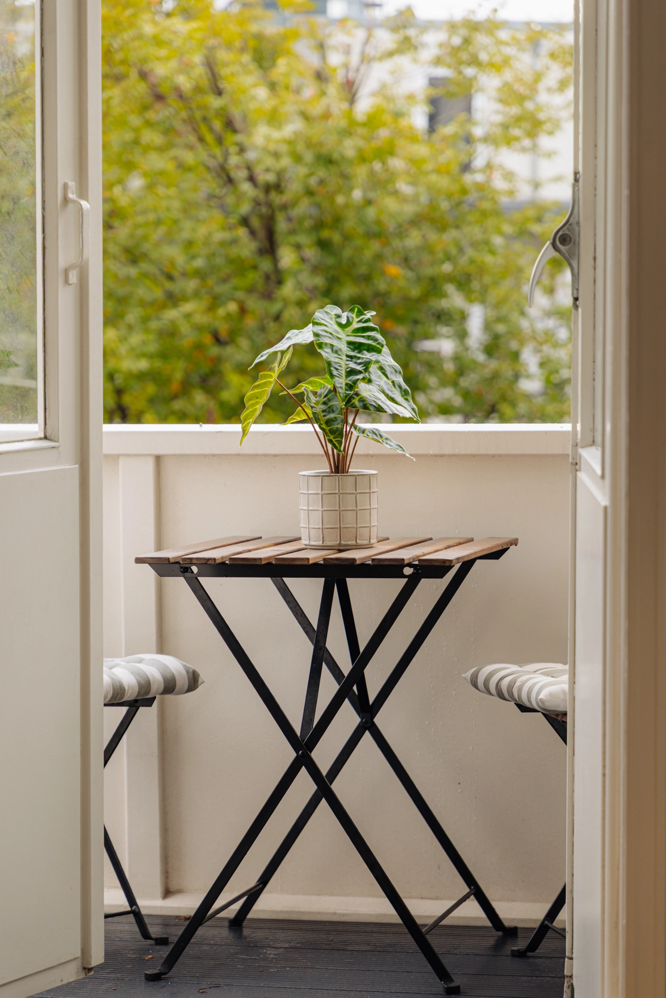 AM106788-2091930-Roelof-Hartstraat-5-3,-Amsterdam-251244488