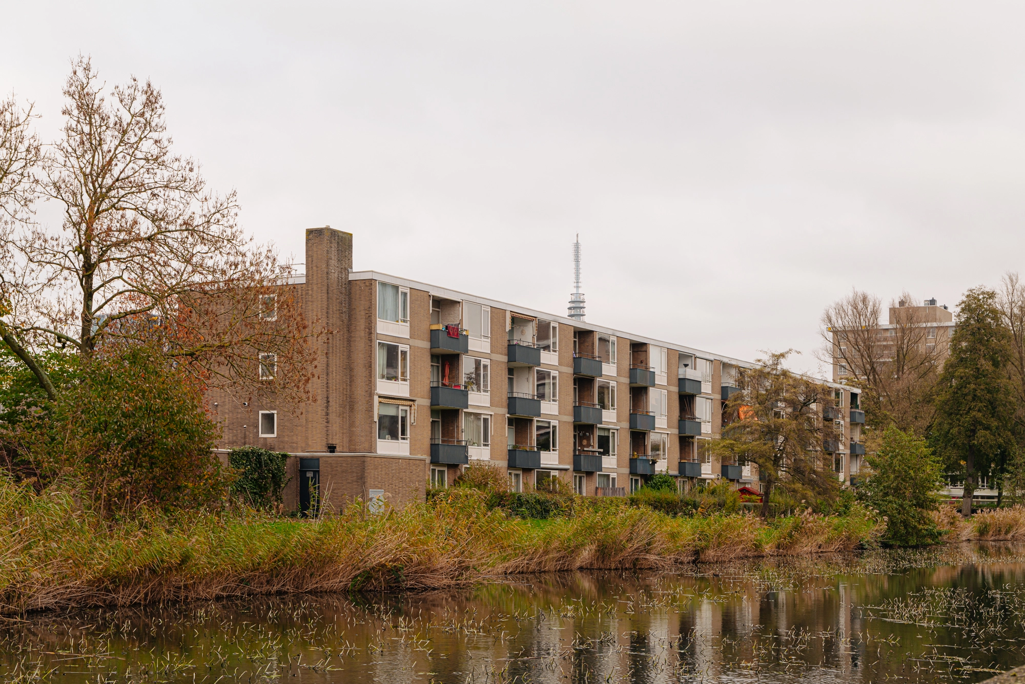 AM106790-2108634-Frieslandstraat-75,-Amsterdam-253951418