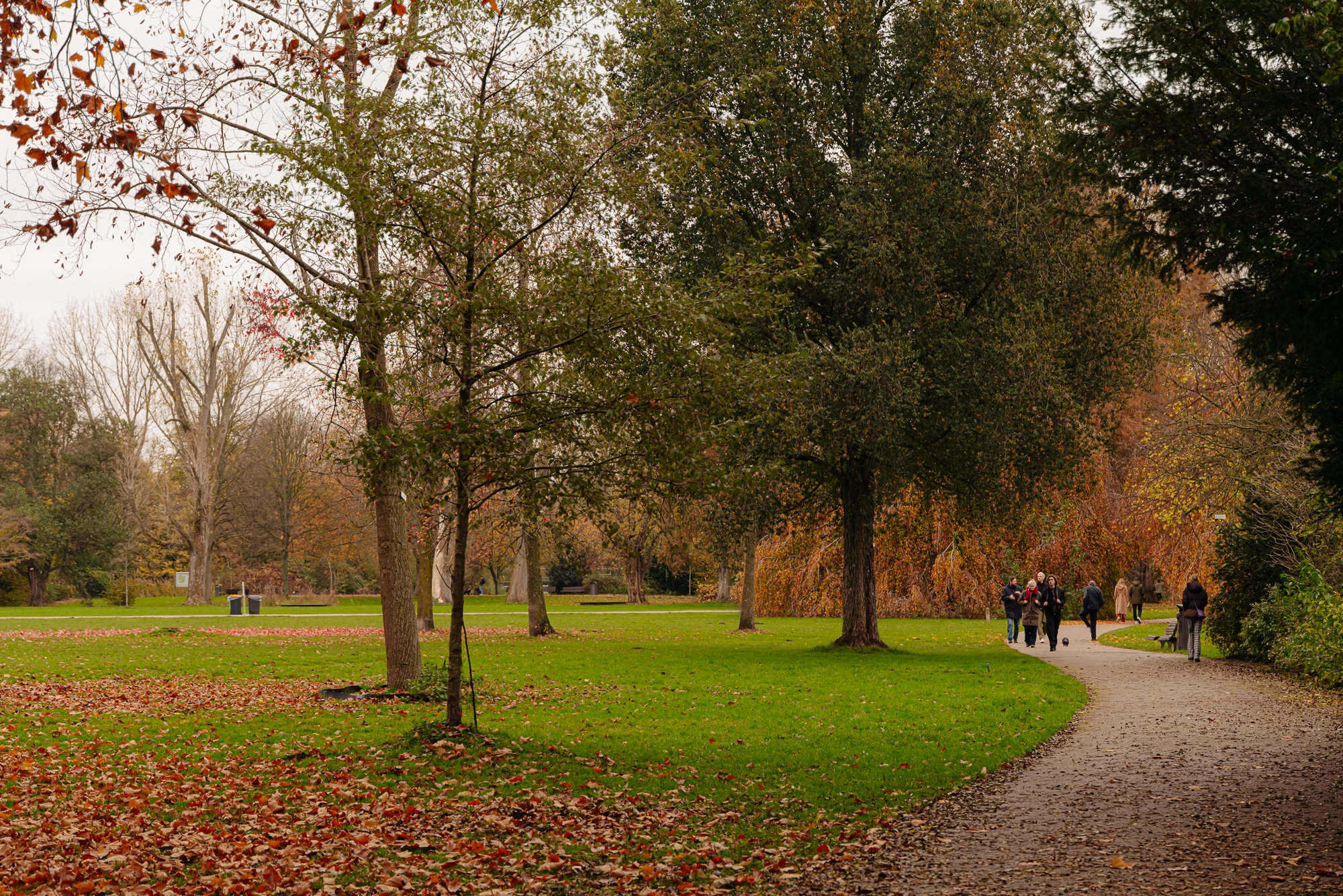 AM106790-2108634-Frieslandstraat-75,-Amsterdam-253951466