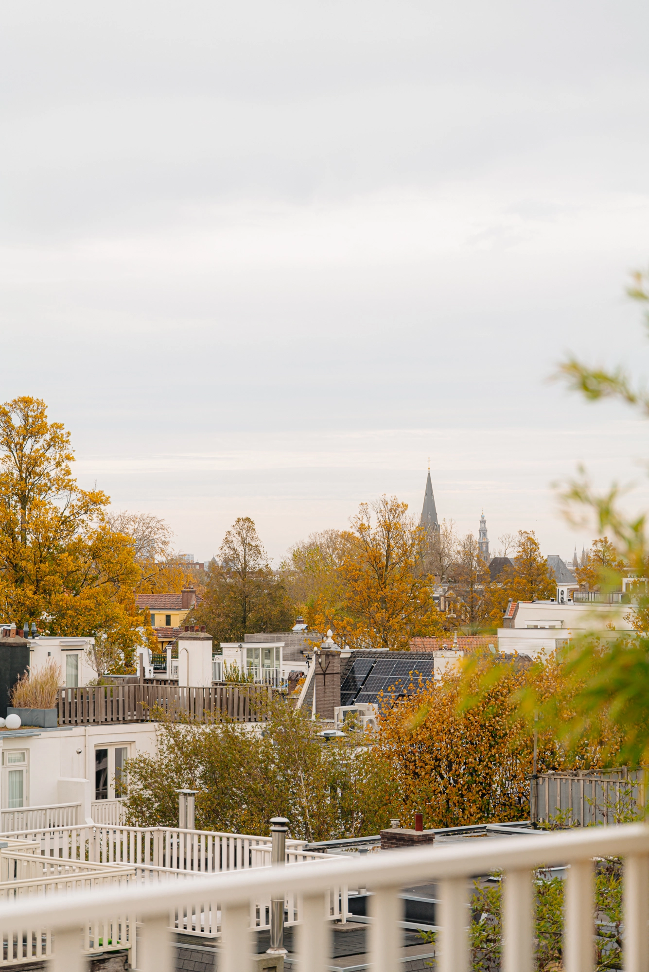 AM106800-2104653-Van-Breestraat-183E,-Amsterdam-253211434