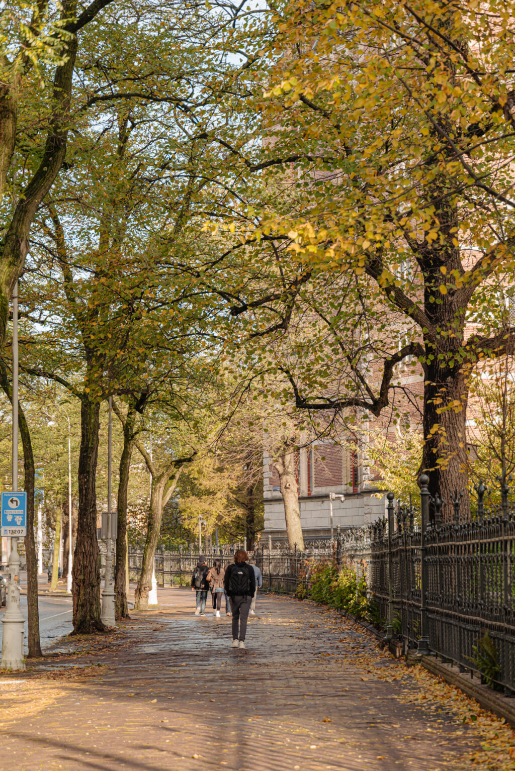 Jan Luijkenstraat 6-2, Amsterdam - Afbeelding 30