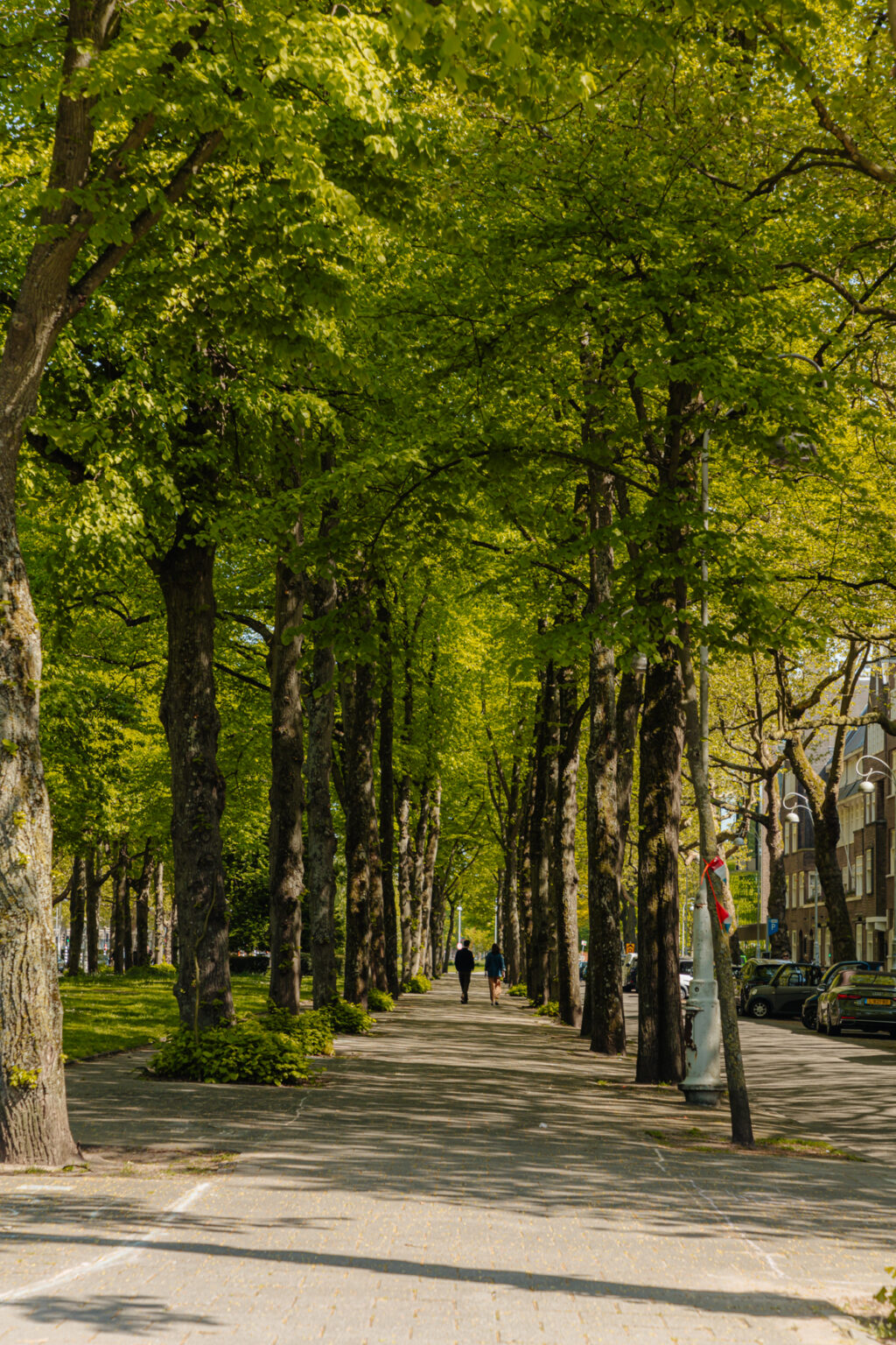 Leonardostraat 1-2, Amsterdam - Afbeelding 51