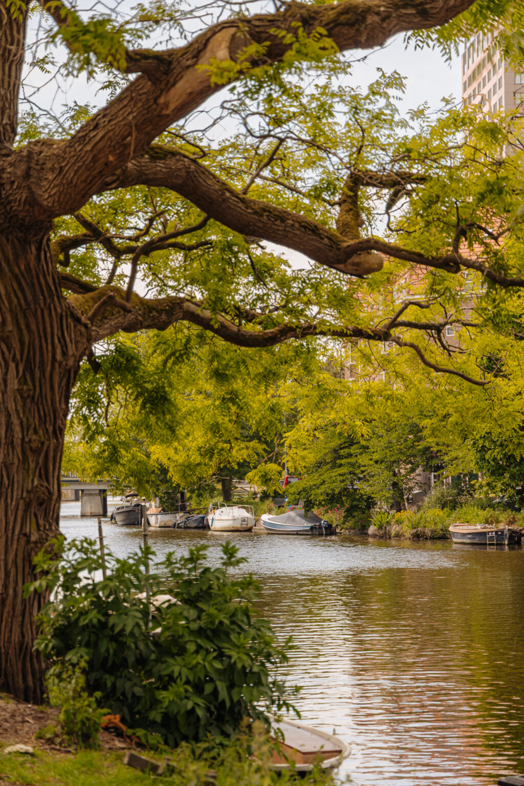 Schipbeekstraat 11, Amsterdam - Afbeelding 20