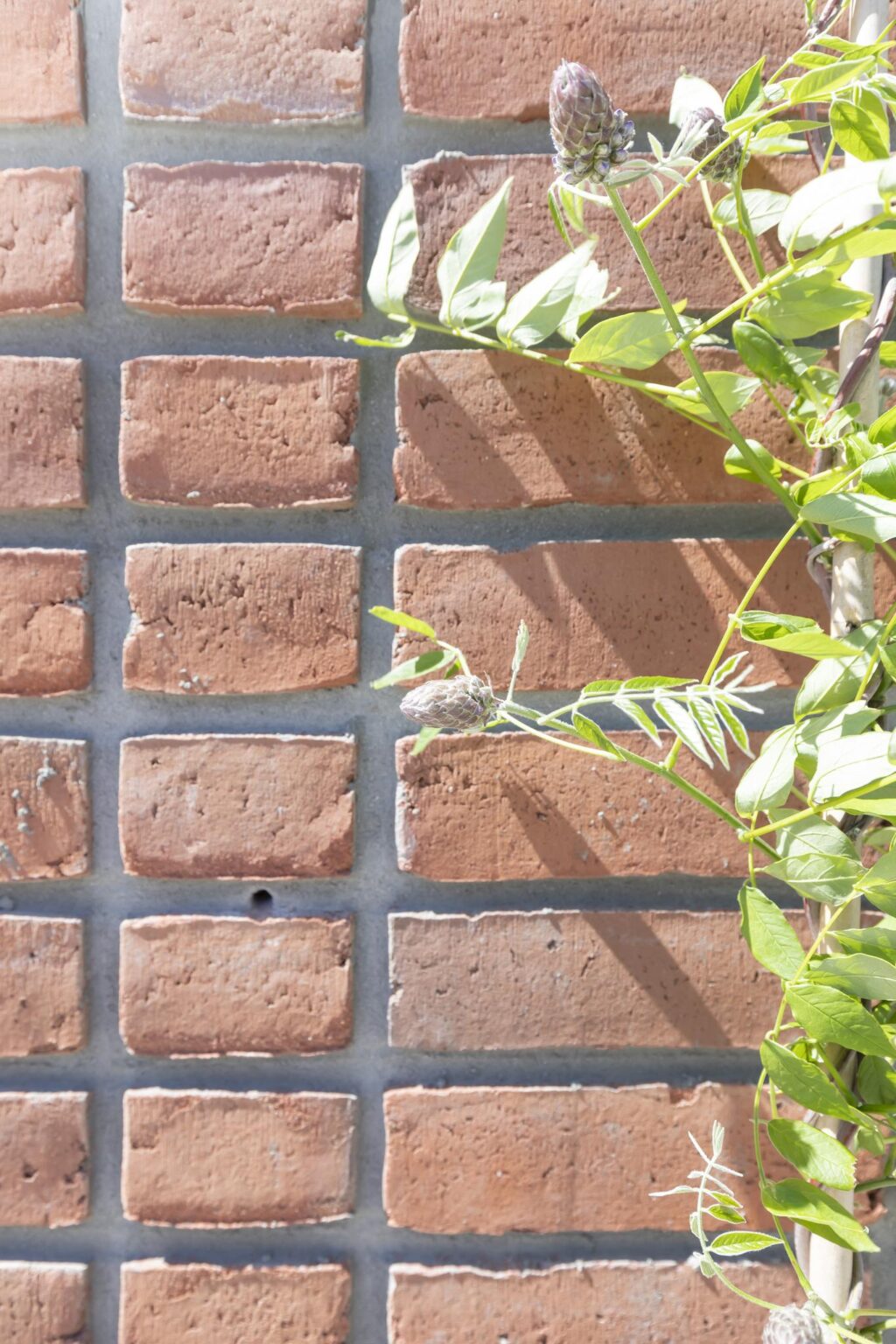 Plesostraat, Amsterdam - Afbeelding 12