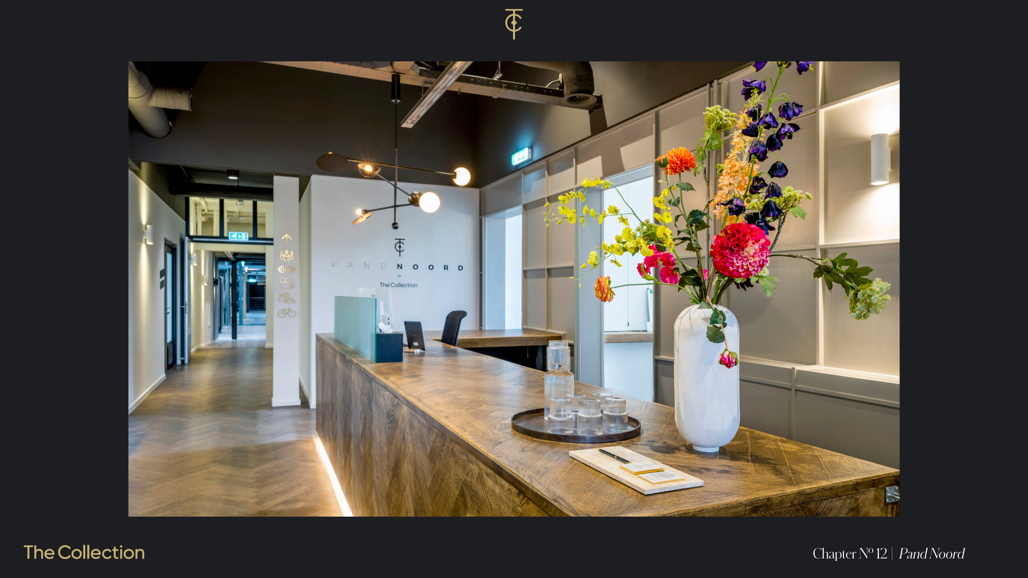 B103690-2013611-Meeuwenlaan-98,-Amsterdam-230624252