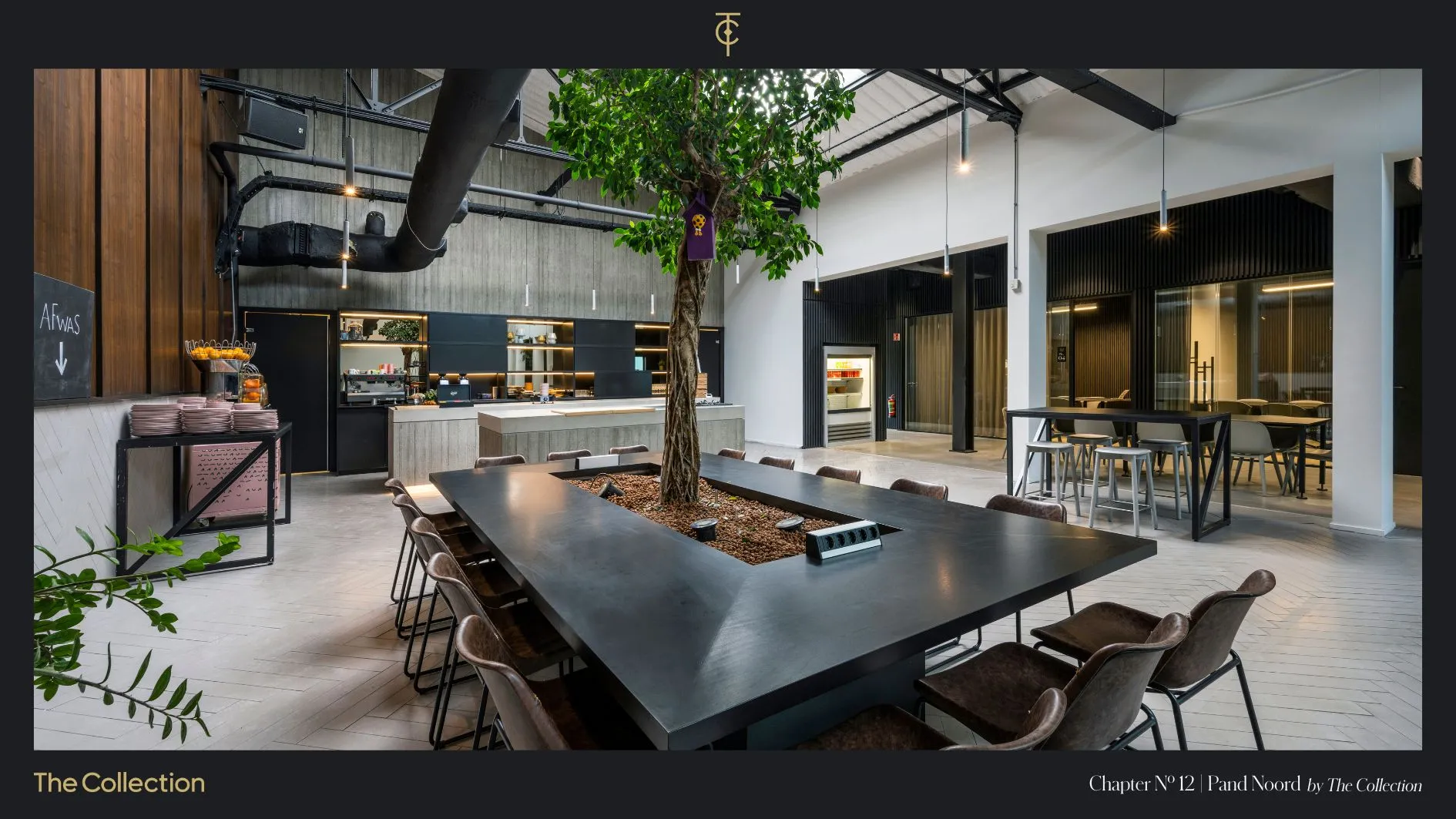 B103690-2013611-Meeuwenlaan-98,-Amsterdam-230626426