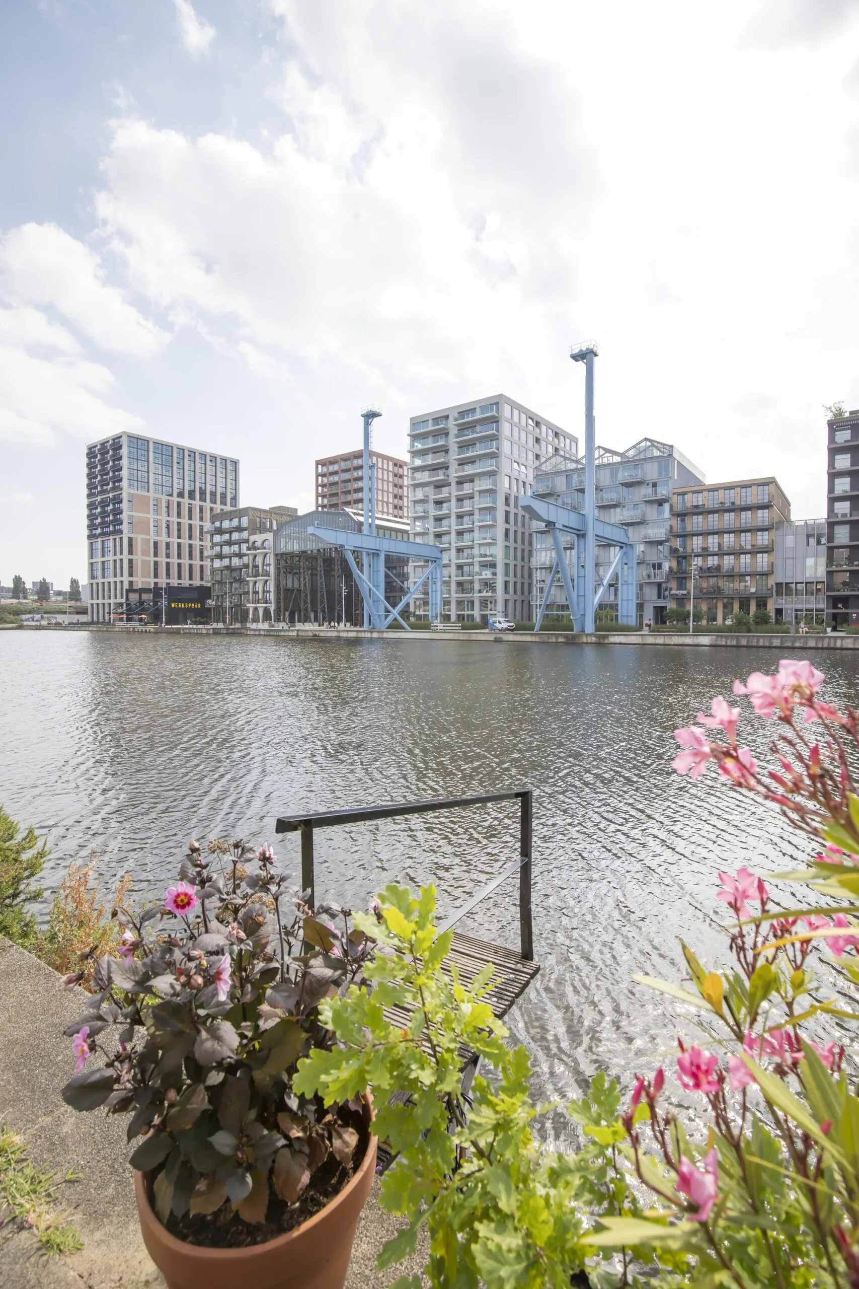 B103773-2058957-Windroosplein-73,-Amsterdam-245338886