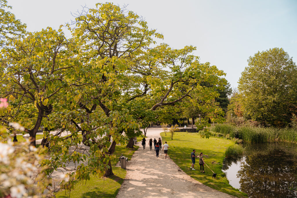 Vondel op West - Afbeelding 3