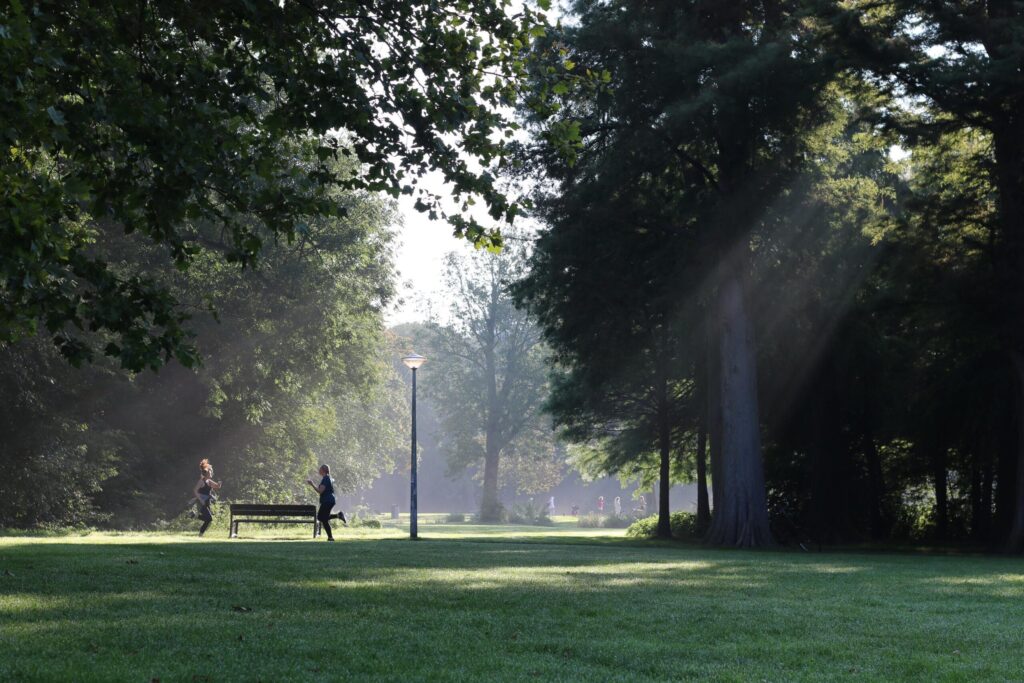 Madame Pyrmont - Afbeelding 10