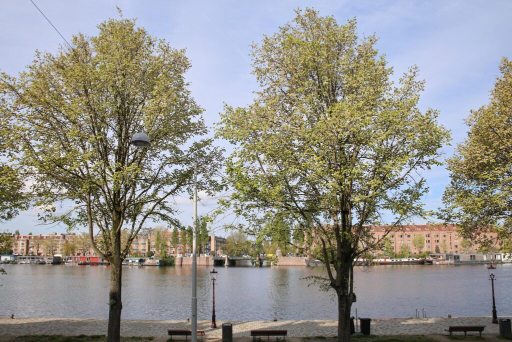 Weesper No. 122 - Afbeelding 17