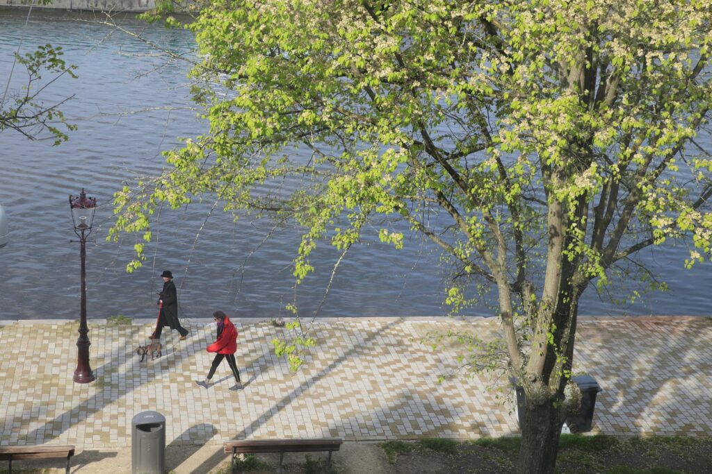 Weesper No. 122 - Afbeelding 19