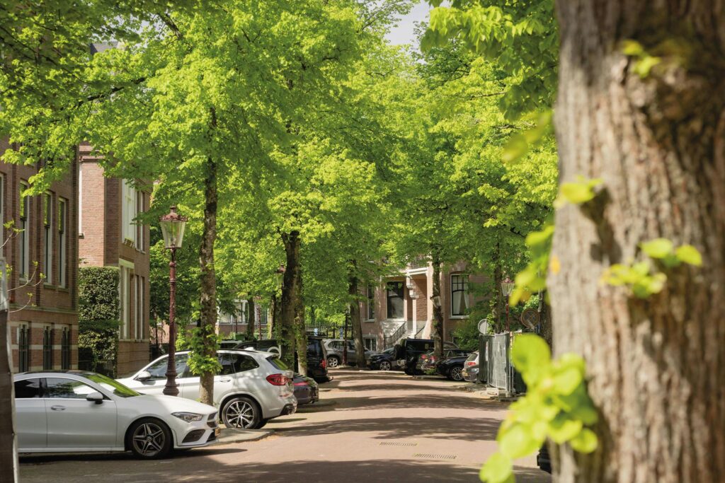 Kings/Lane Topfloors - Afbeelding 20